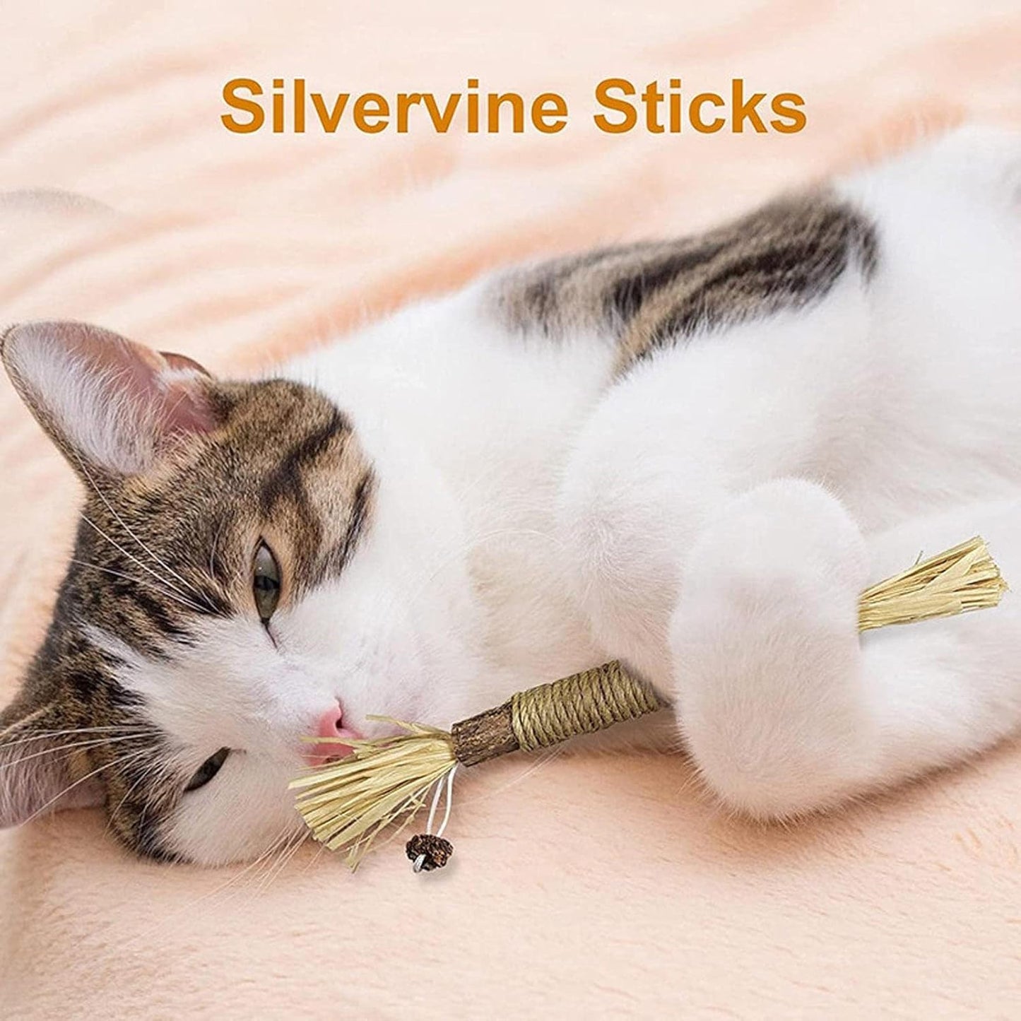 Cat Chew Stick - Natural Silvervine Sticks Cat Toys | Natural Cat Chew Toys For Kitten Teething Cleaning Calm And Stress
