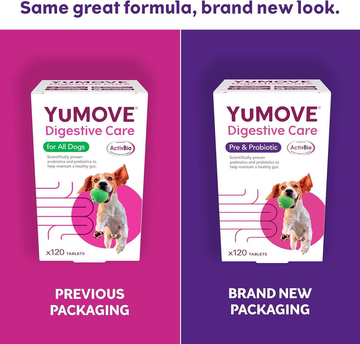 YuMOVE Digestive Care for All Dogs | Previously YuDIGEST | Probiotics for Dogs with Sensitive Digestion, All Ages and Breeds | 120 Tablets