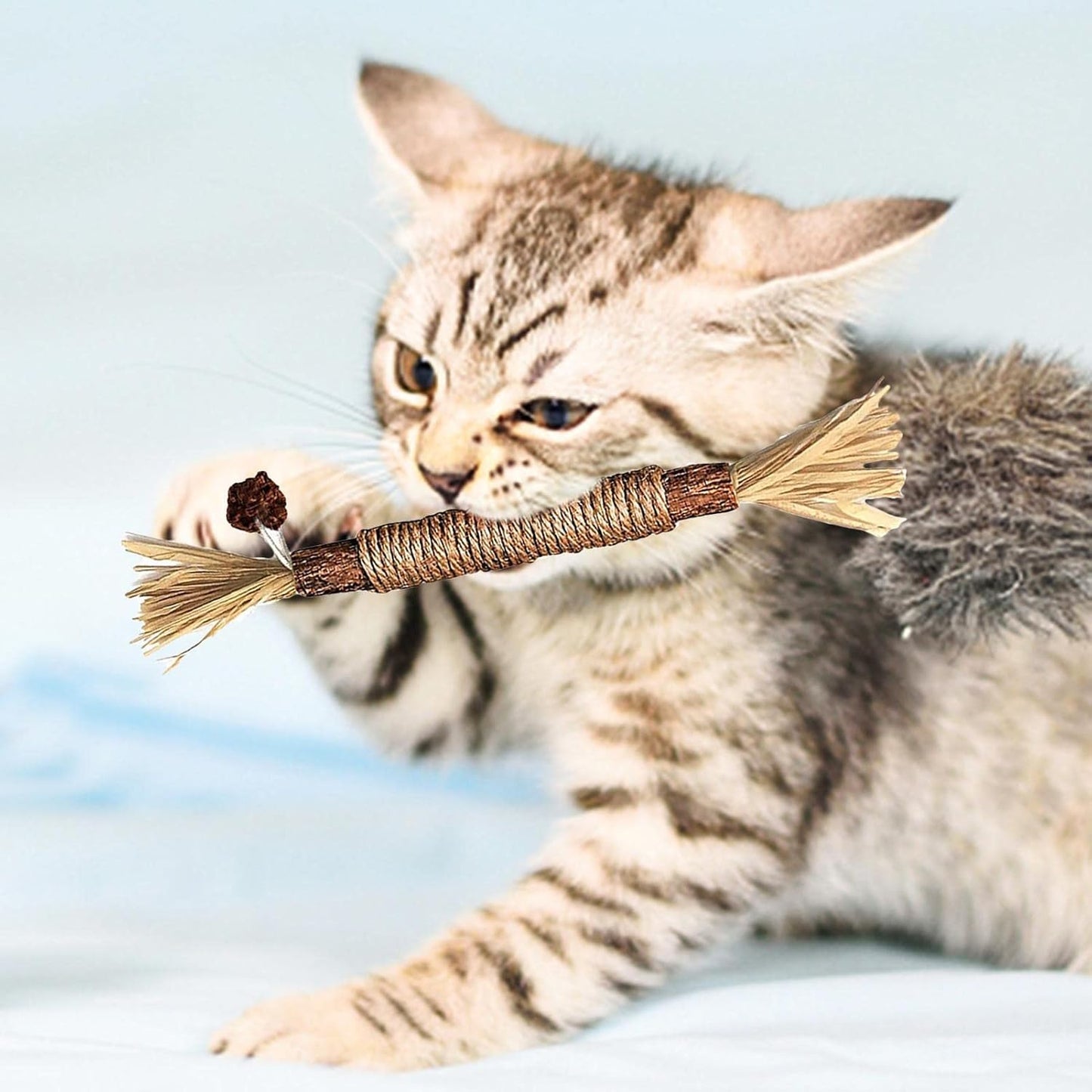 Cat Chew Stick - Natural Silvervine Sticks Cat Toys | Natural Cat Chew Toys For Kitten Teething Cleaning Calm And Stress