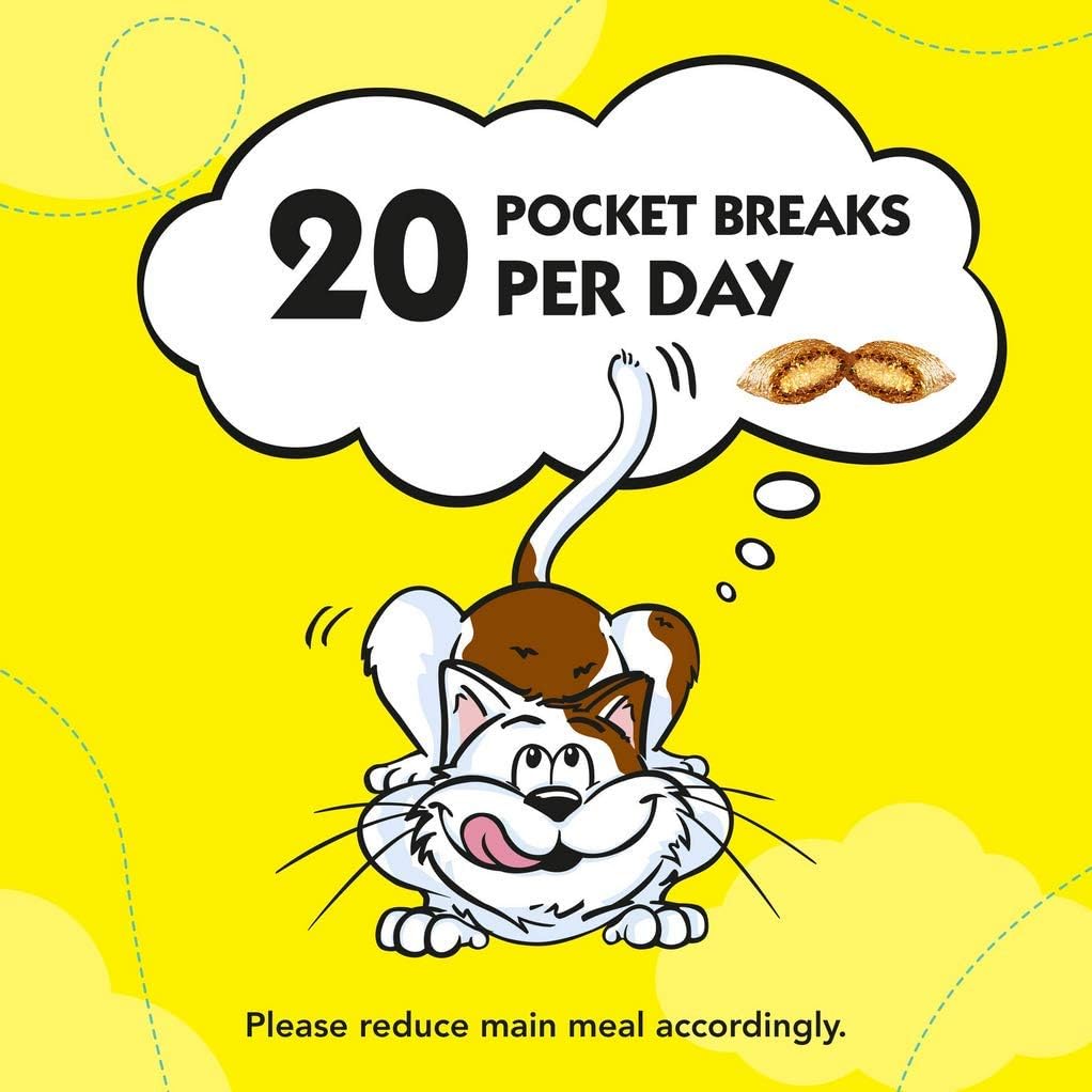 Dreamies Cat Treats Variety Pack, snacks with chicken, salmon flavour and cheese, Pack of 12 (12 x 60 g)