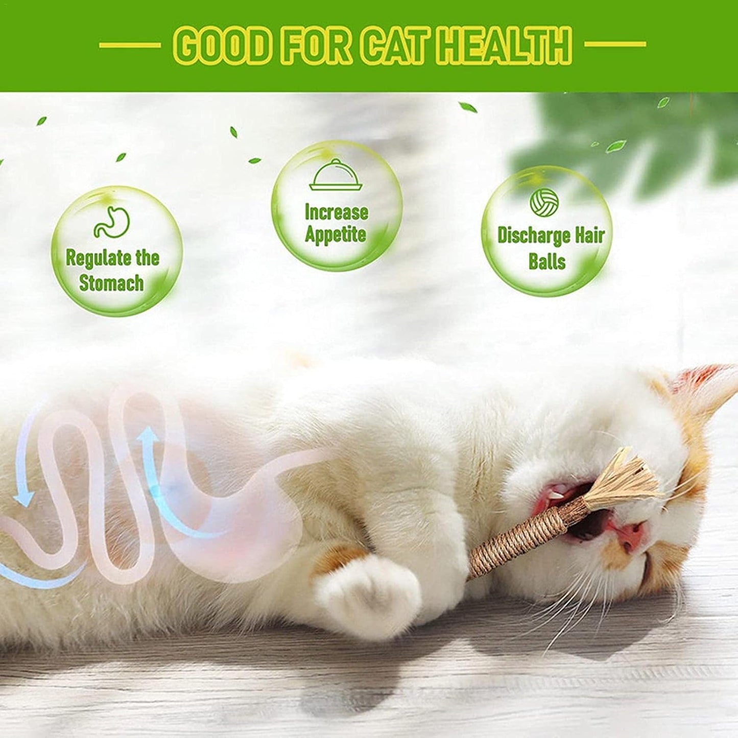 Cat Chew Stick - Natural Silvervine Sticks Cat Toys | Natural Cat Chew Toys For Kitten Teething Cleaning Calm And Stress