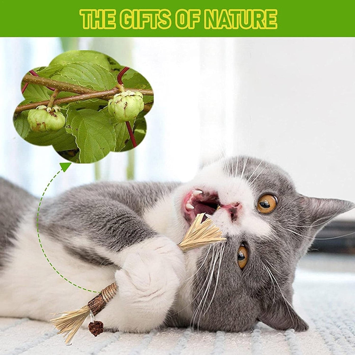 Cat Chew Stick - Natural Silvervine Sticks Cat Toys | Natural Cat Chew Toys For Kitten Teething Cleaning Calm And Stress