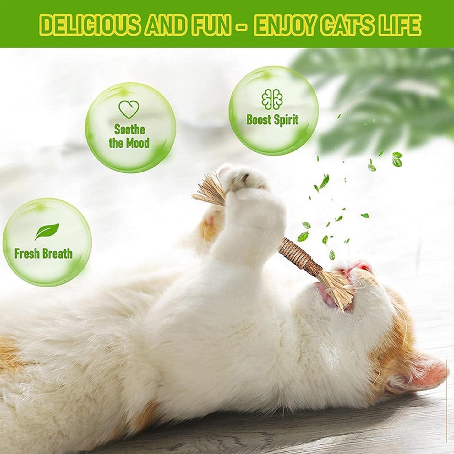 Cat Chew Stick - Natural Silvervine Sticks Cat Toys | Natural Cat Chew Toys For Kitten Teething Cleaning Calm And Stress