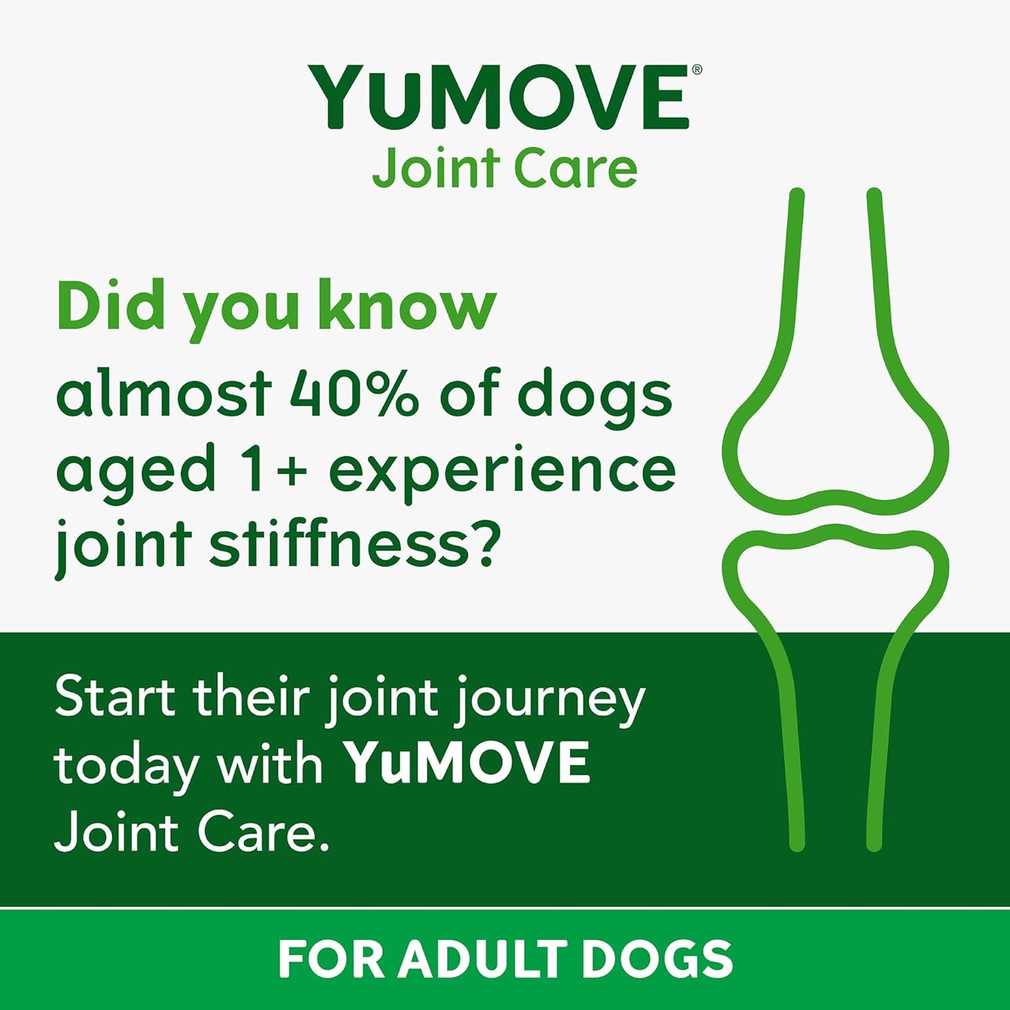 Lintbells | YuMOVE Dog | Essential Hip and Joint Supplement for Stiff Dogs | 60 Tablets