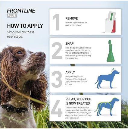 FRONTLINE Plus Flea & Tick Treatment for Medium Dogs (10-20 kg) - 6 Pipettes